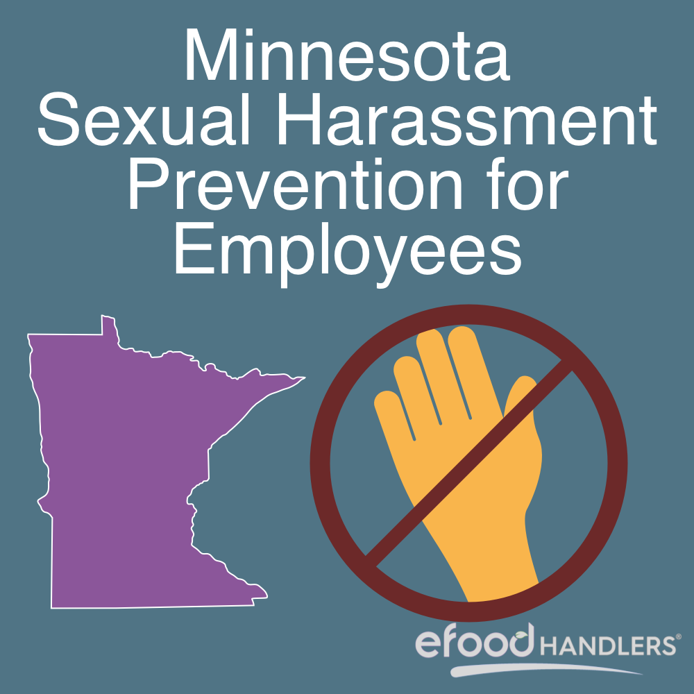Minnesota Sexual Harassment Prevention for Employees