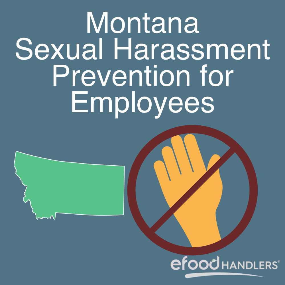 Montana Sexual Harassment for Employees
